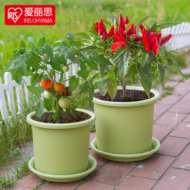 花庭园艺推荐品牌 新人首单立减十元 21年6月 淘宝海外