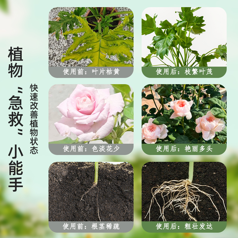 爱丽思植物营养液通用花肥料水培盆栽月季绣球兰花卉多肉绿植专用-图1