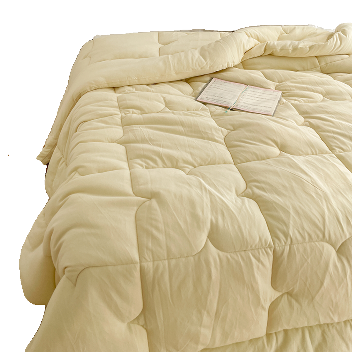 掌柜推荐的一款大豆纤维冬被！保暖被芯被子双人加大,淘宝优惠券,粉丝福利购,淘宝优惠卷