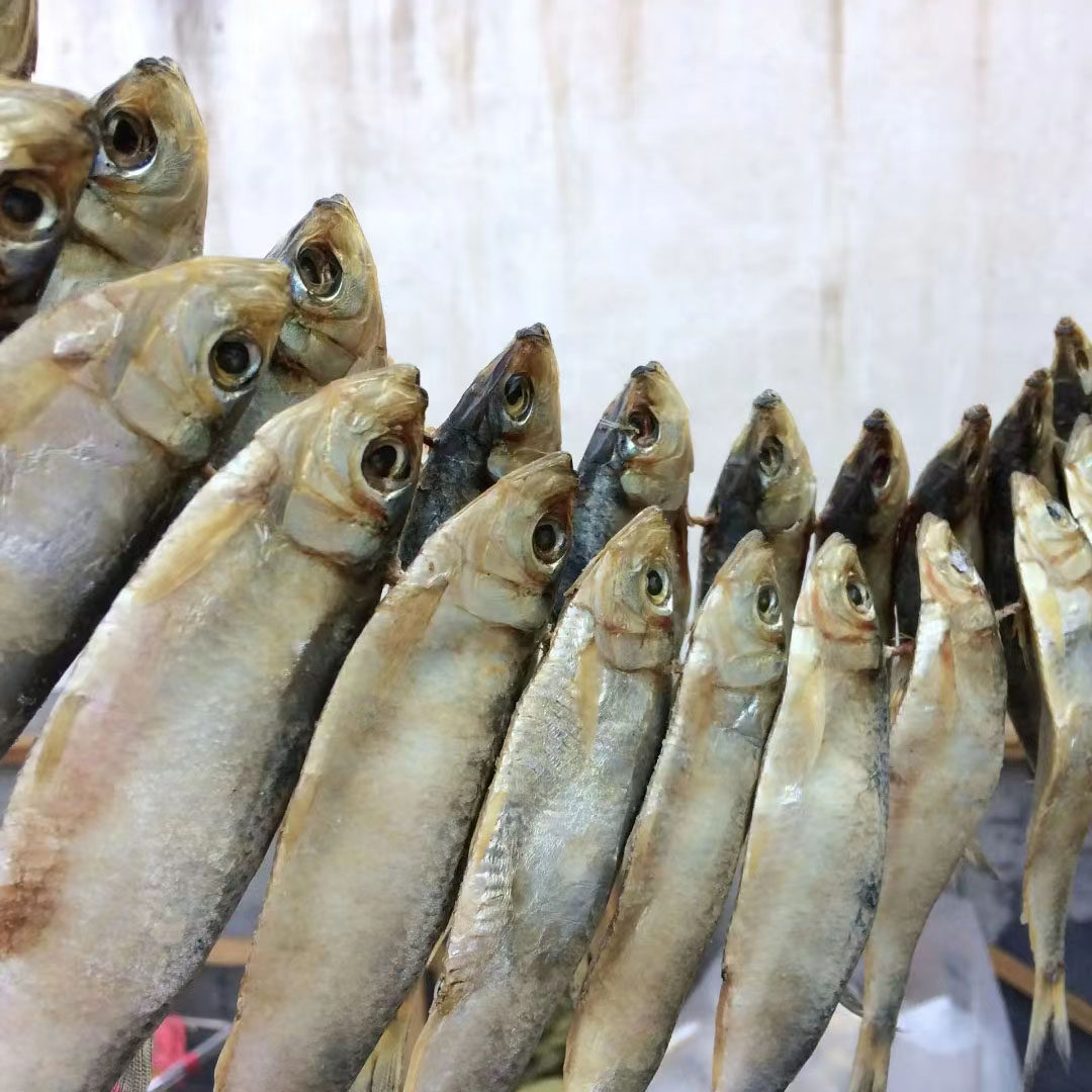 莱州青鳞鱼活鲜淡干自晒掖县青板柳叶青皮燕子鱼青眼500g咸鱼包邮,淘宝优惠券,粉丝福利购,淘宝优惠卷