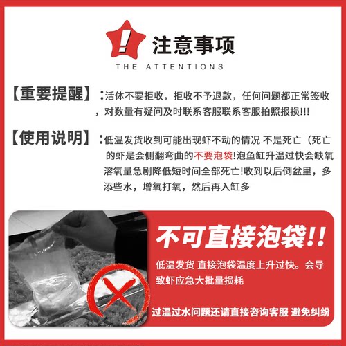 黑壳虾鱼缸水族箱水草清洁除藻工具淡水观赏虾宠活体除藻虾 - 图2