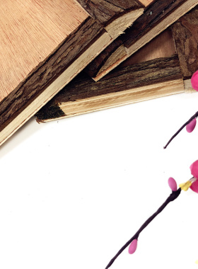 幼儿园墙面装饰环创森系区角挂件