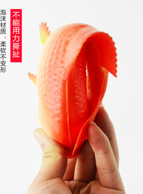 仿真鱼海洋动物摄影装饰大号