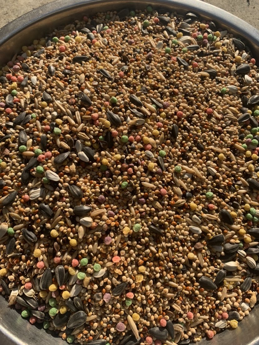鹦鹉混合鸟粮牡丹玄凤等中小型鹦鹉鸟食滋养丸谷子饲料包邮5斤_虎窝淘