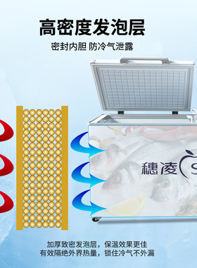 穗凌bd-580卧式冰柜大容量冷藏