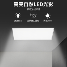 Модули освещения 鸿雁集成吊顶led灯卫生间浴室平板灯300x600嵌入式超薄厨房面板灯 HONYAR