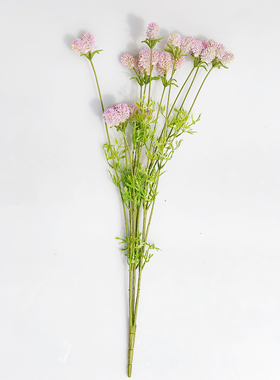 刺芹毛毛果兔束子婚庆花艺树枝