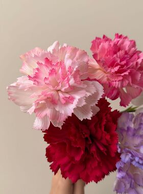 高级感康乃馨仿真花束假花手感保湿客厅餐桌摆件装饰花礼物插花