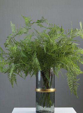 仿真花植物草蚊竹秋色凤尾文竹