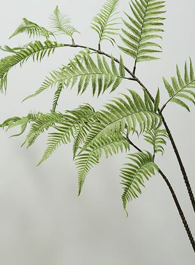 高质金丝猴蕨 大厥叶仿真植物绿植蕨草波斯树枝绿植景观家居装饰