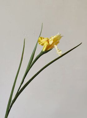 仿真爱丽丝鸢尾油画花艺