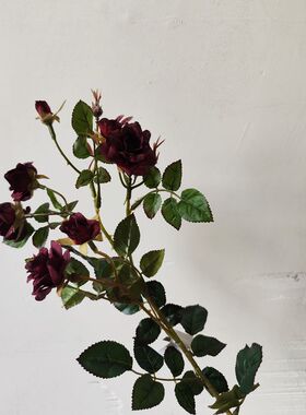 靓玫瑰手捧中国插花枝红娟1