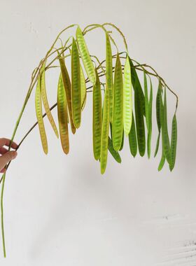 感豌豆荚仿真豆角样板间装饰摆放艺术造景长枝豆角艺垂感扁豆新款