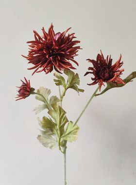 仿真花 金盏菊 秋色植绒蟹爪菊家居软装饰婚庆布景龙爪菊摆件假花