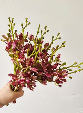 蝴蝶兰石斛兰花仿真假花插花艺餐桌台面装饰摆放花卉墨兰绢布建兰