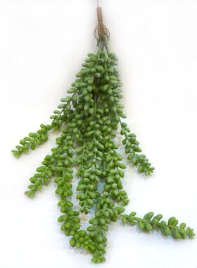 仿真壁挂花植物 新款珍珠豆果串情人泪彩豆佛珠 仿真多肉植物藤条