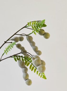 靓豆室内中国插花枝毛色娟1