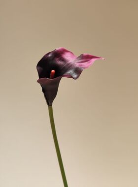 仿真花新款精致小海芋马蹄莲艺术插花配花室内装饰花摄影道具假花