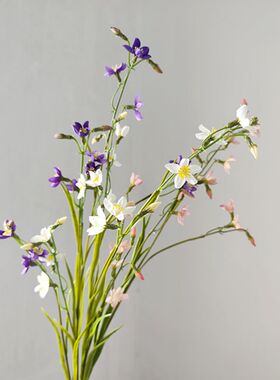 仿真花韭莲线状花材豆苗科自然系