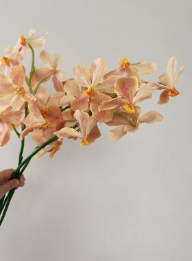 靓兰花插花中国娟花枝黄高档1