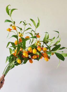 仿真花灯笼花假花宫灯百合花 家居装饰婚庆布置仿真酸浆果薄塑料