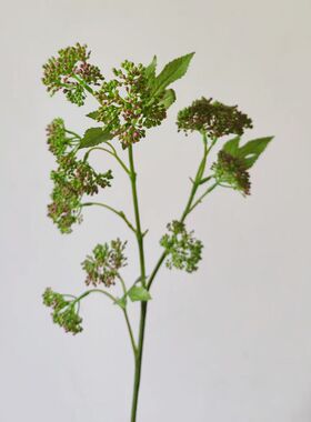 高质仿真花绿色花菜果diy材料拍照道具 假花摆设手捧花超好用配材