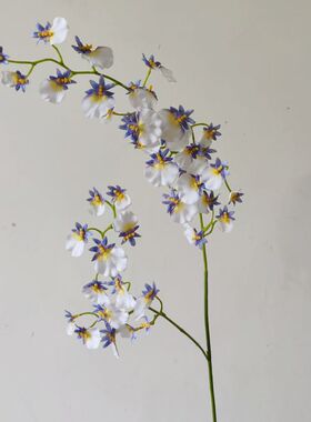 新款兰色保湿手感跳舞兰仿真花假花 家居配材婚庆人造花酒店装饰