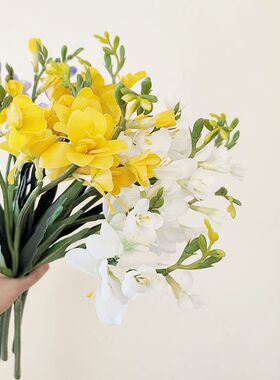 靓插花室内中国兰枝白保湿1