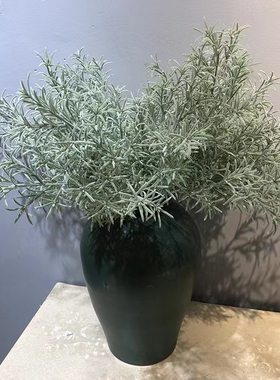 银叶菊绿色摆放摄影道具仿真绢花