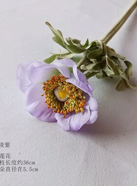 高质银莲花仿真白头翁
