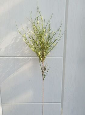 新款假花炮竹红水杉婚庆家居装饰插花配材仿真绿植单枝红水杉