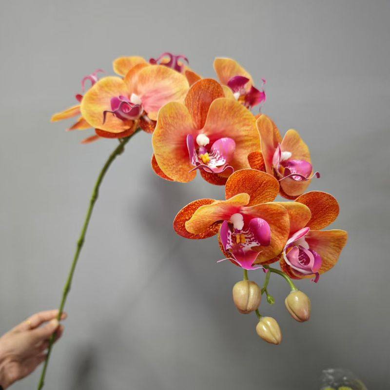 高档花卉仿真花蝴蝶兰高品质9头手感兰花婚庆花艺家居摆件装饰花,淘宝优惠券,粉丝福利购,淘宝优惠卷