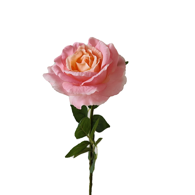 欧月保湿玫瑰花装饰花卉仿真花高档客厅电视柜餐桌塑料花假花摆设,淘宝优惠券,粉丝福利购,淘宝优惠卷