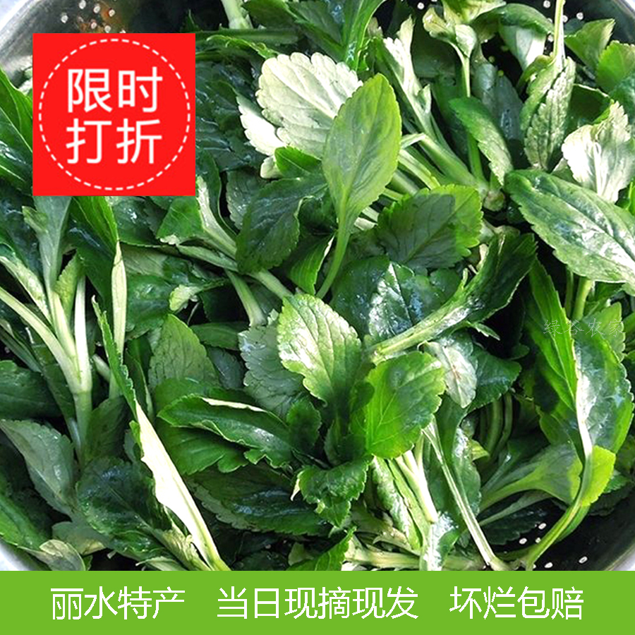 苦菜新鲜苦叶菜浙江丽水败酱草食用野生苦野菜苦斋婆当日现摘现发 - 图2