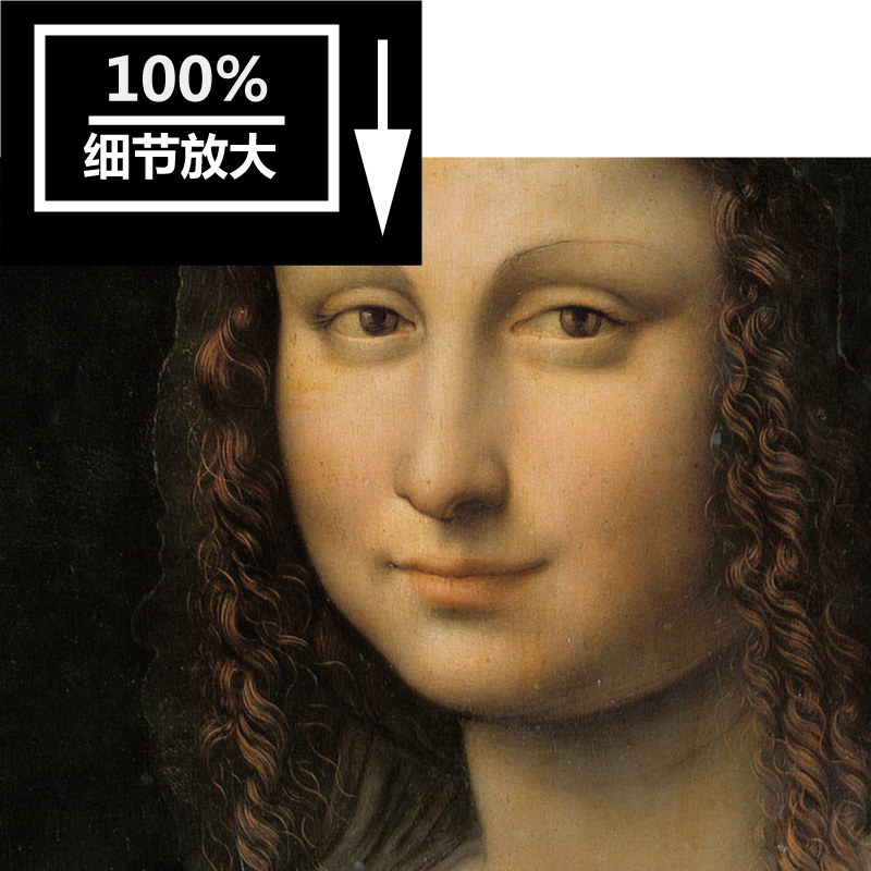 达芬奇 Da Vinci 高清电子画册 人物油画 蒙娜丽莎装饰画打印素材 - 图2