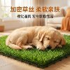 Patch grass suspended splicing lawn blocks plastic lawn mat