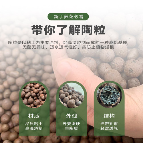 园艺陶粒盆栽垫底铺面养花多肉铺面石透气防烂根多肉垫底轻质陶土 - 图0