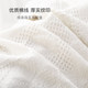 Nordic solid color sofa cover full cover versatile ins style