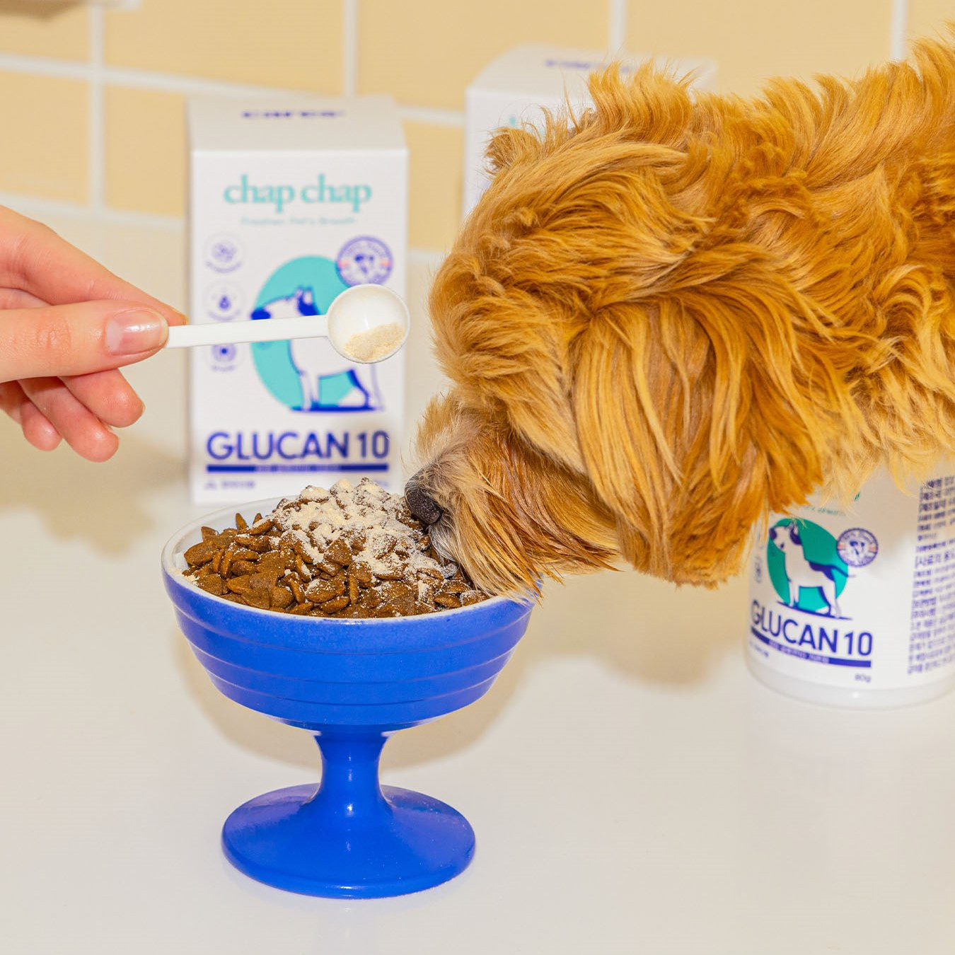 现货~售完无补~韩国ChapChap宠物叶黄素眼睛支气管保健护理营养粉,淘宝优惠券,粉丝福利购,淘宝优惠卷