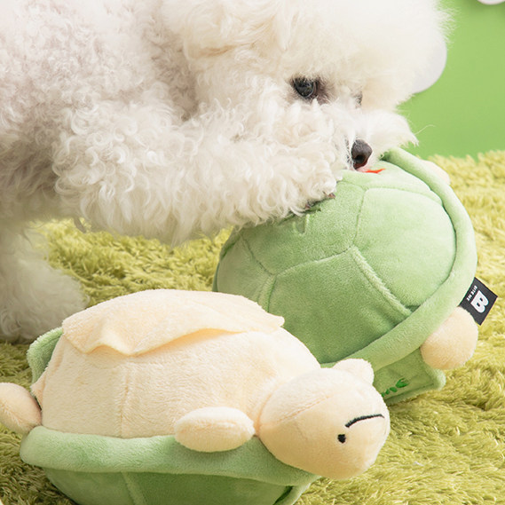 『Memory Pet』韩国代购biteme宠物趣味跳跳龟电动可调档藏食玩具,淘宝优惠券,粉丝福利购,淘宝优惠卷