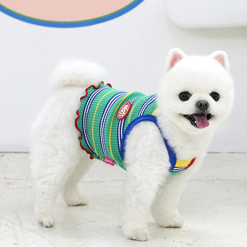 『Memory Pet』韩国parisdog春夏宠物彩色条纹字母标弹性吊带背心-图1