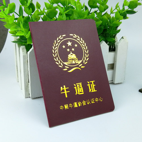 牛逼证 搞笑搞怪创意证书个性送朋友闺蜜爸妈男友老公生日礼物 - 图1