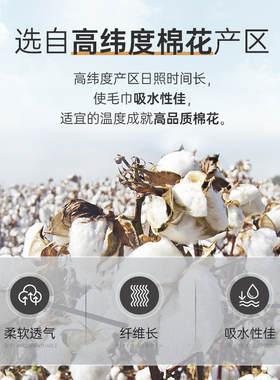 男士专用毛巾新疆纯棉敷脸擦手