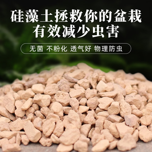 硅藻土颗粒种植介质多肉铺面石君子兰花火烧土媲美赤玉土垫材包邮 - 图0