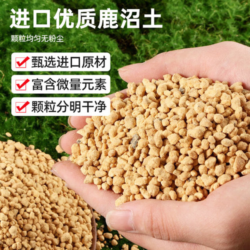 鹿沼土日本进口多肉石斛杜鹃蝴蝶兰酸性营养土颗粒铺面专用整包邮 - 图2