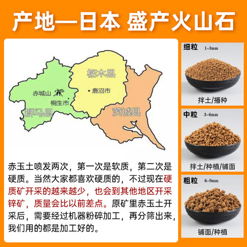 赤玉土日本进口非三本线盆景专用兰花多肉专用土硬质颗粒造景铺面 - 图0