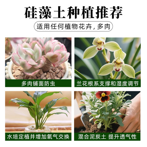 硅藻土颗粒种植介质多肉铺面石君子兰花火烧土媲美赤玉土垫材包邮 - 图2