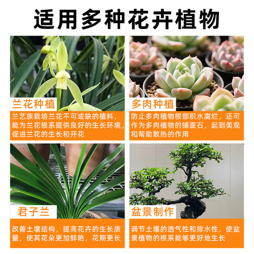 日本进口植金石原装兰花专用颗粒营养土多肉铺面萨摩石硬质兰花石 - 图1