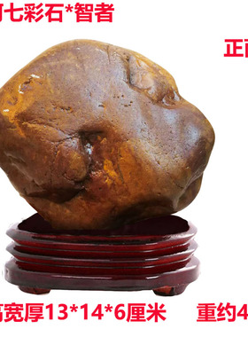 伟人象形石黄河天然原石人物黄蜡红石图案精品奇石祝贺寿礼品摆件