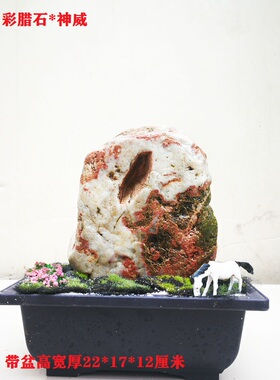 长江黄河天然原石彩玉玛瑙黄蜡石